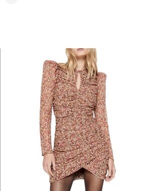 Bardot Rose Floral Ruched Long-Sleeve Mini Dress
